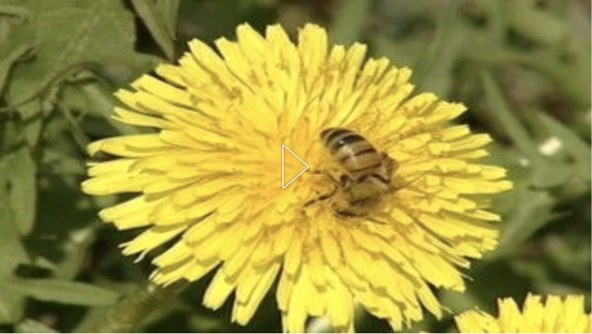 a50c118743f08719a3bf6fab48183881_1682696556_8608.png